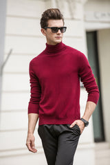 High Collar Cashmere Sweater